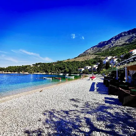 Sunflower * Omiš